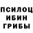 Галлюциногенные грибы прущие грибы Sebastian Jauernik