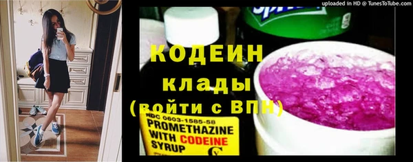 спайс Гусь-Хрустальный