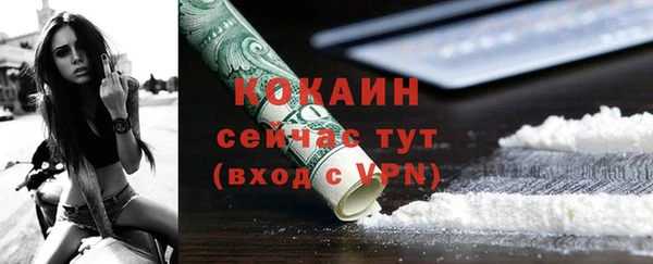спайс Гусь-Хрустальный
