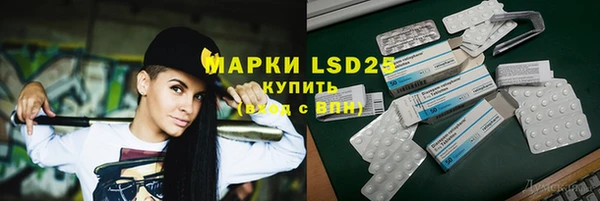 спайс Гусь-Хрустальный