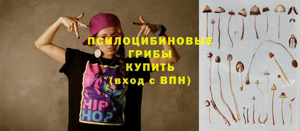 дживик Гусев