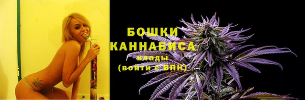 дживик Гусев