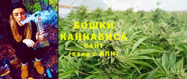 гашик Гусиноозёрск