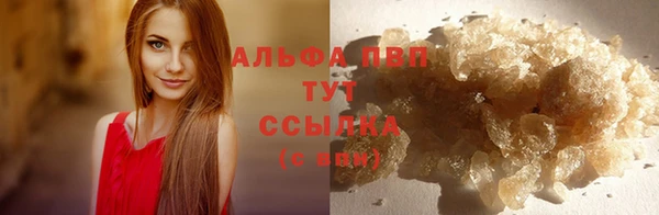 гашик Гусиноозёрск