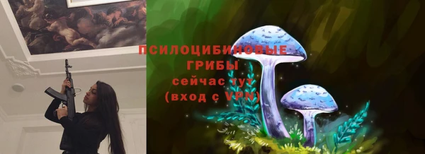 гашик Гусиноозёрск