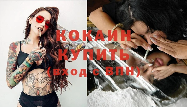 спайс Гусь-Хрустальный