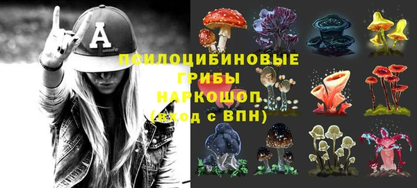 спайс Гусь-Хрустальный