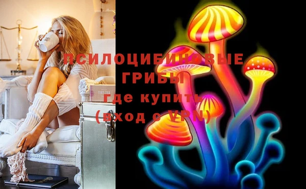 спайс Гусь-Хрустальный