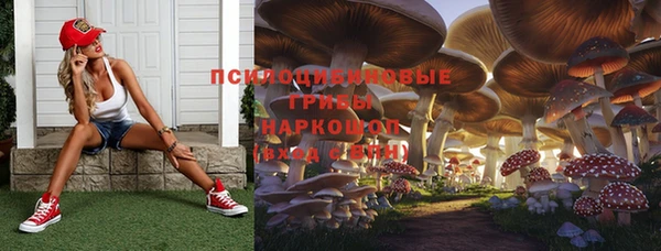гашик Гусиноозёрск