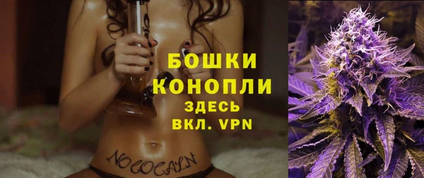 спайс Гусь-Хрустальный