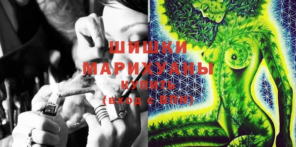 дживик Гусев
