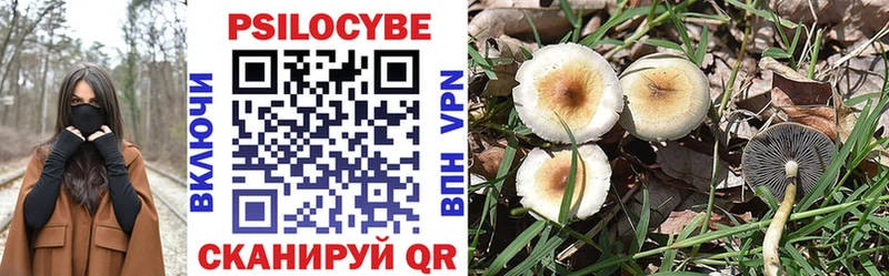 Псилоцибиновые грибы прущие грибы  Купить  Берёзовский 